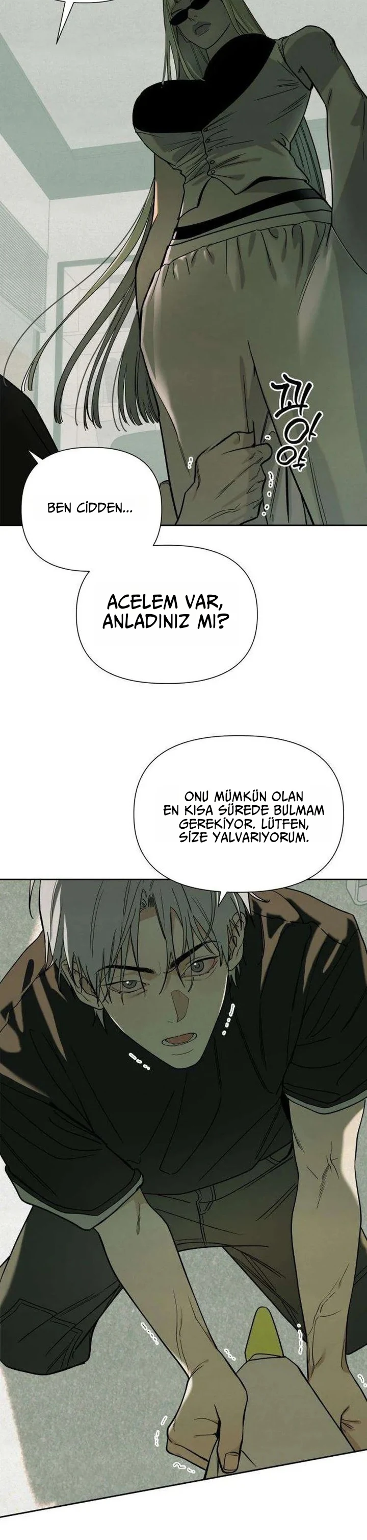 Bölüm 5
