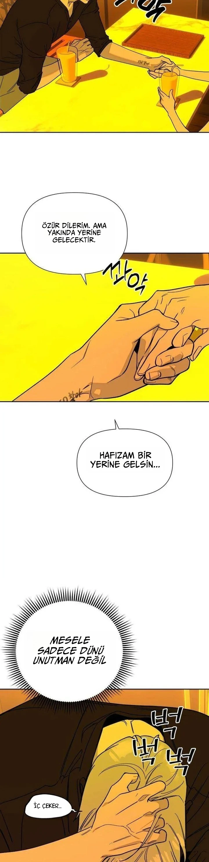 Bölüm 5