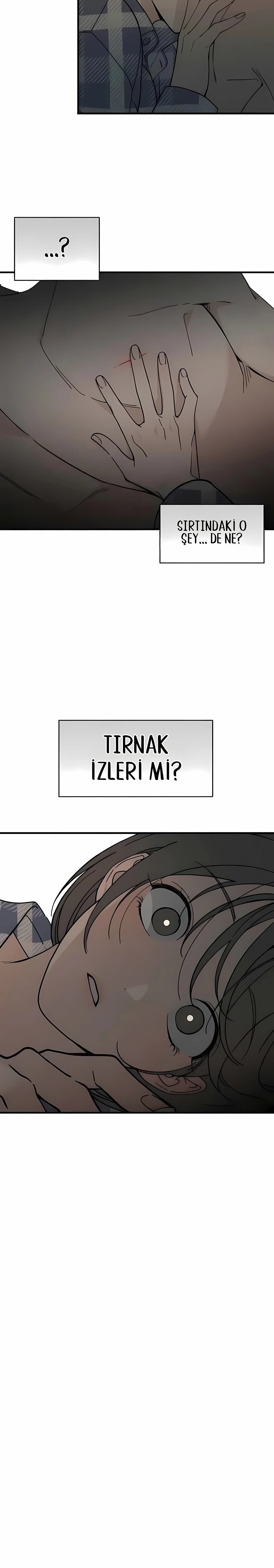 Bölüm 4