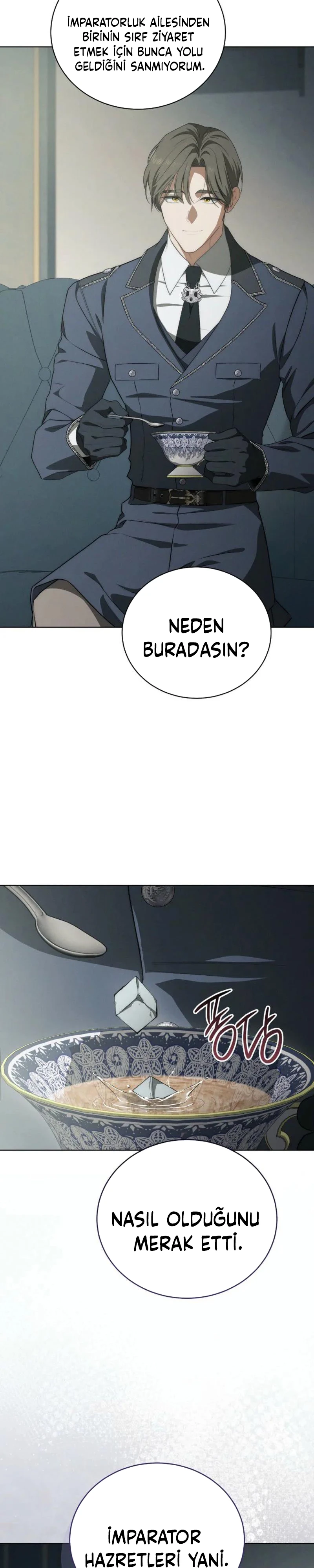 Bölüm 5