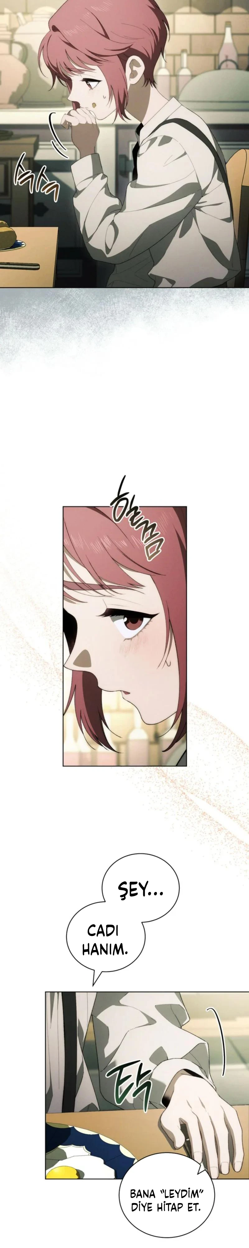 Bölüm 7