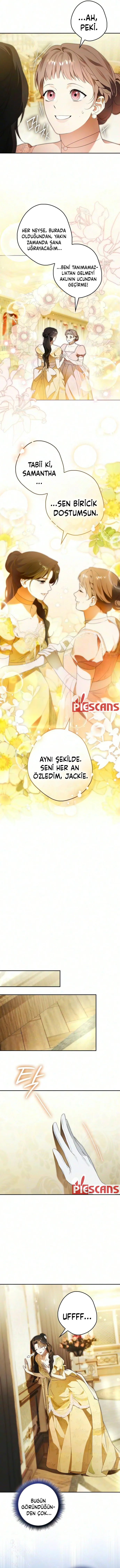 Bölüm 15