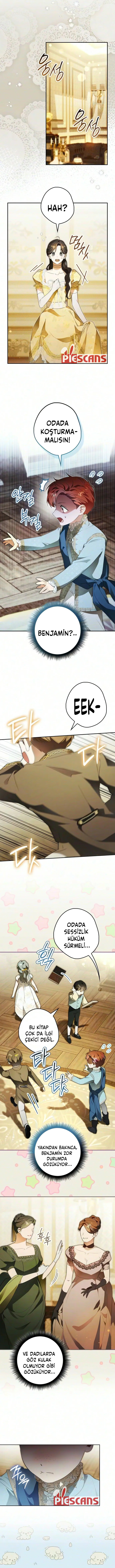 Bölüm 15