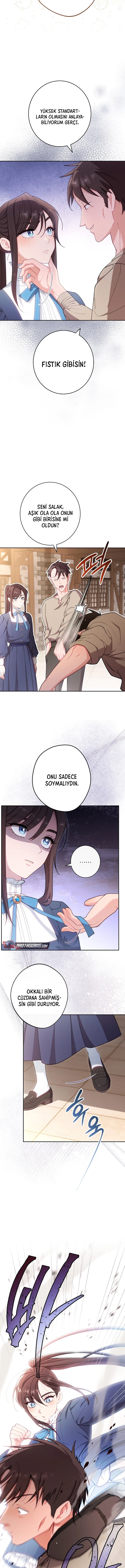 Bölüm 11