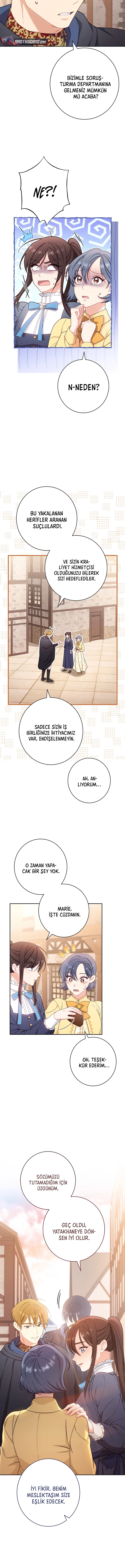 Bölüm 11