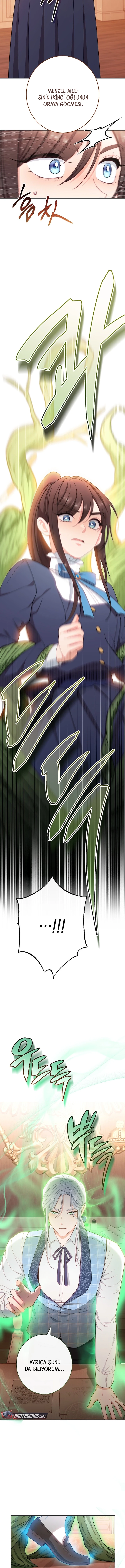 Bölüm 11