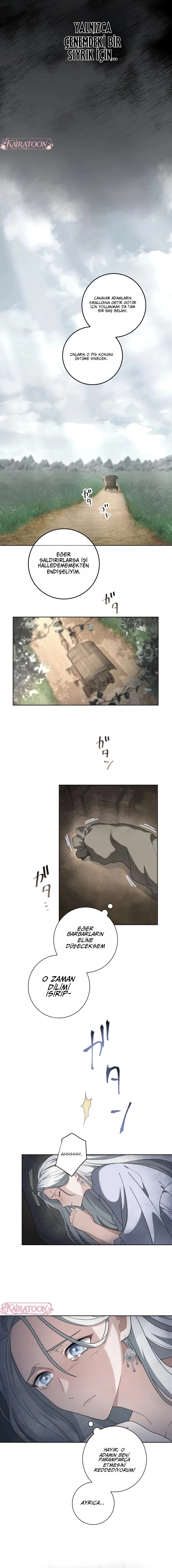Bölüm 1