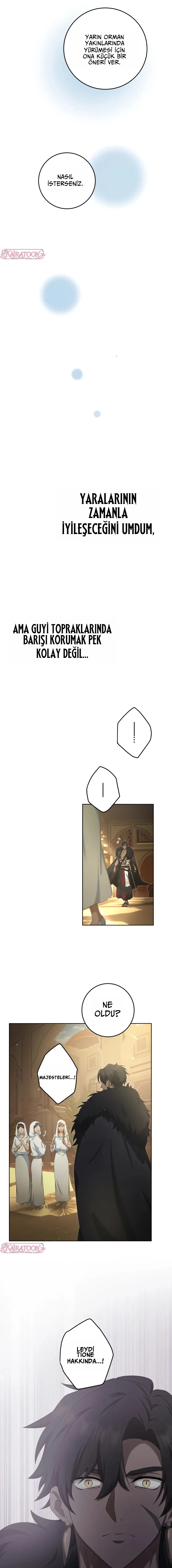 Bölüm 5