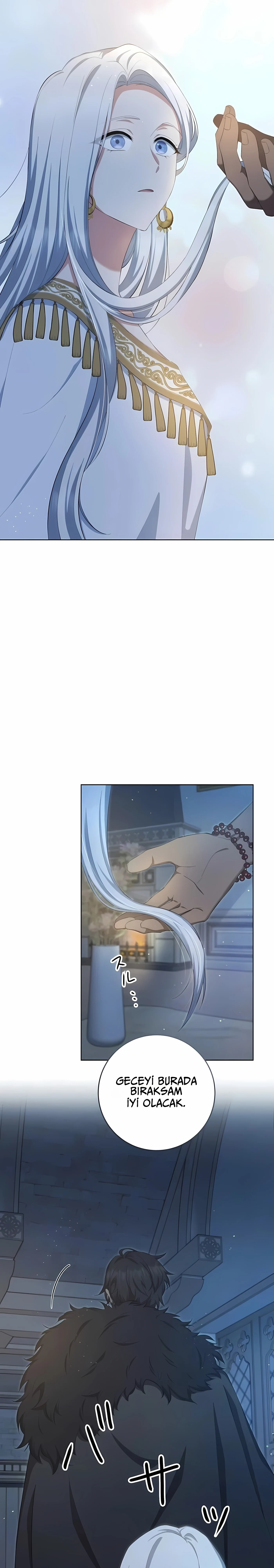Bölüm 7