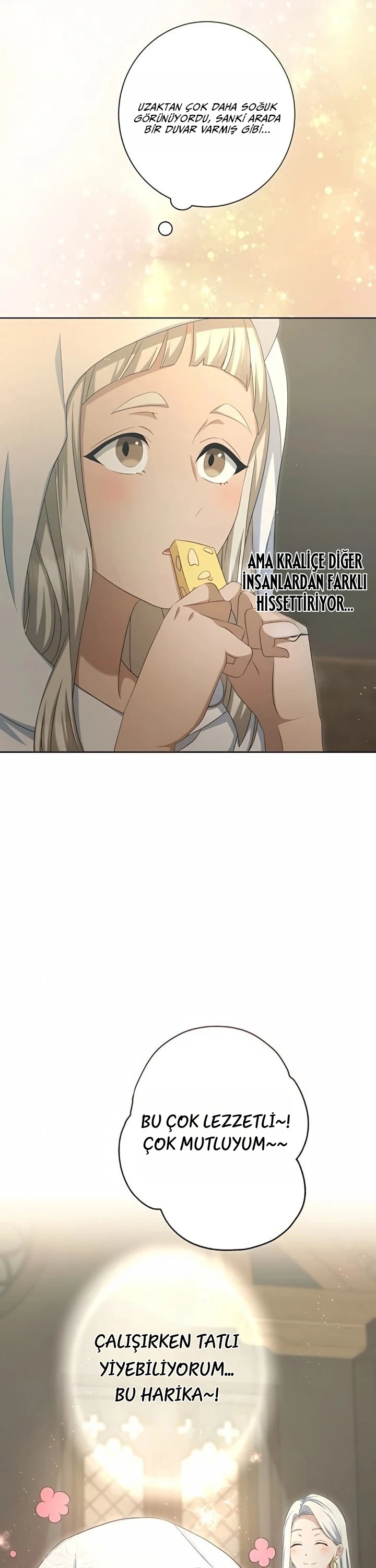 Bölüm 8