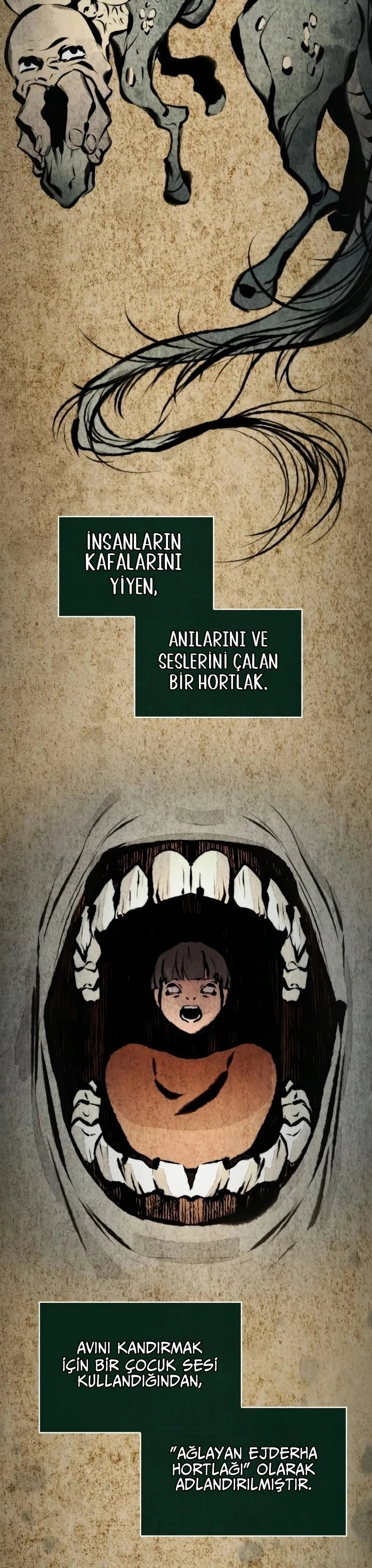 Bölüm 7