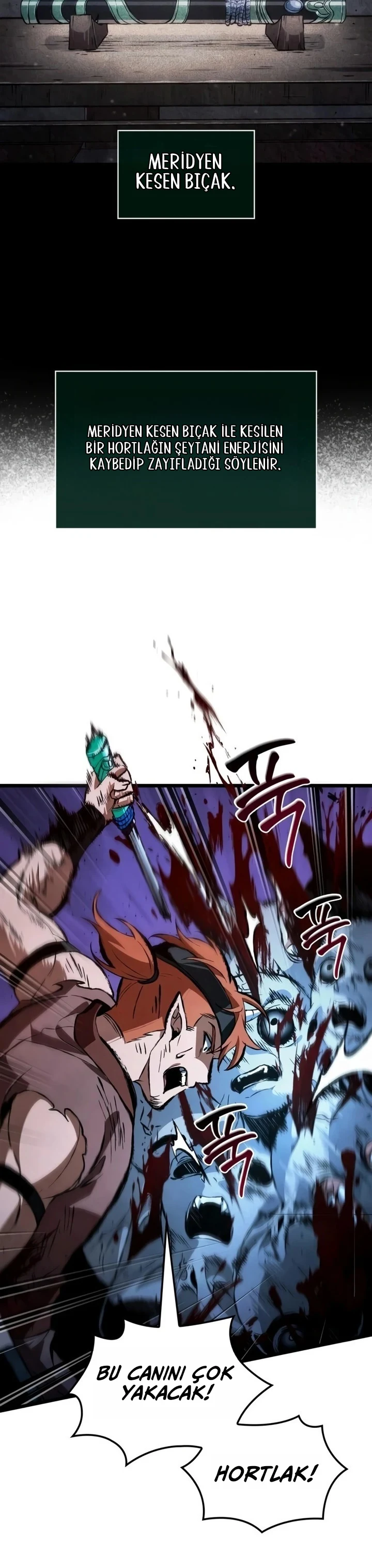 Bölüm 7