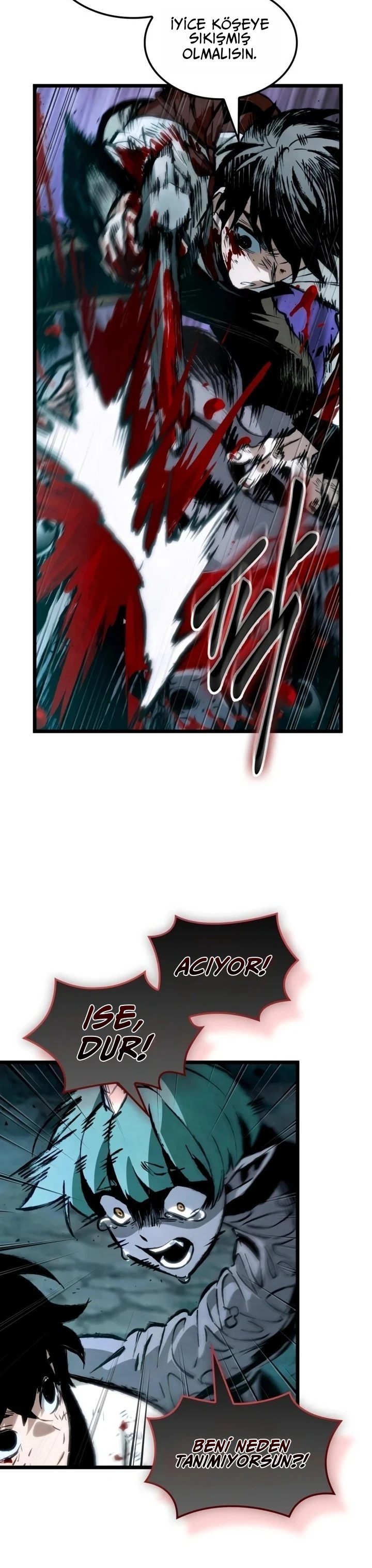 Bölüm 7