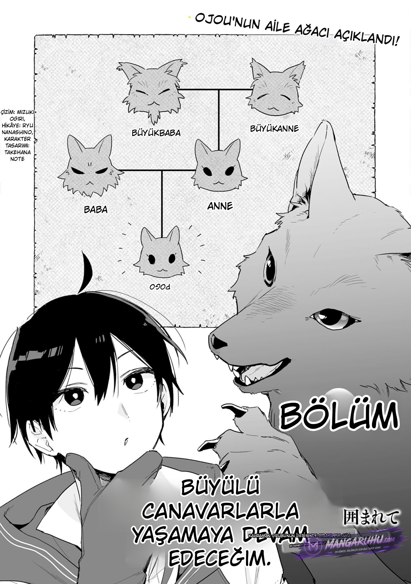 Bölüm 3