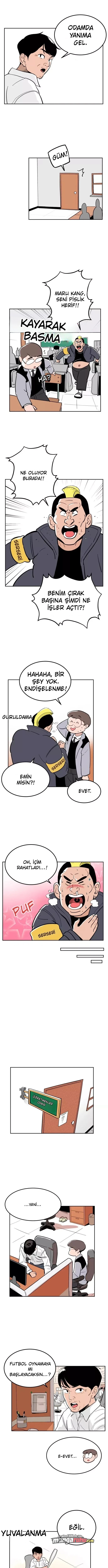 Bölüm 5