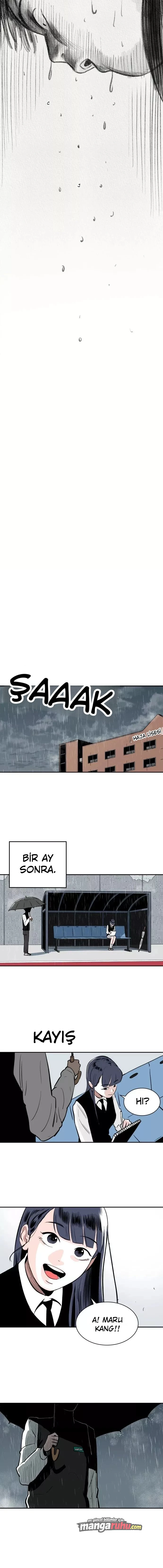 Bölüm 8