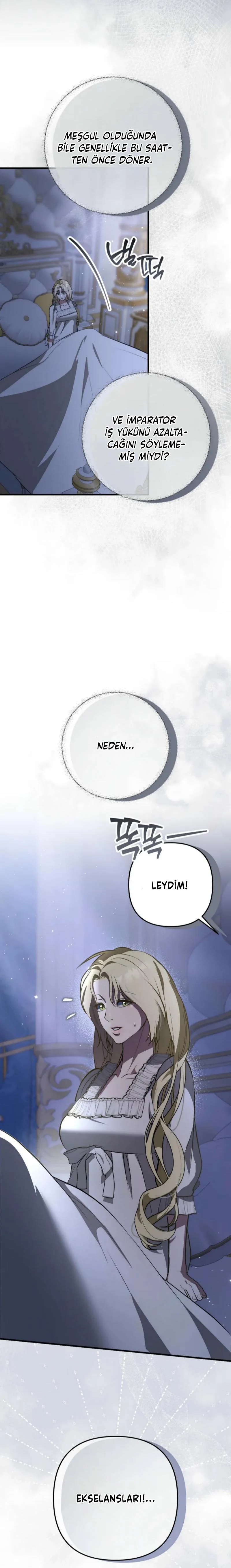 Bölüm 5