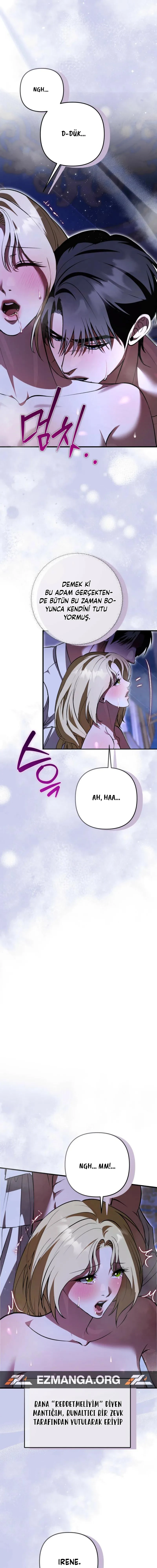 Bölüm 7