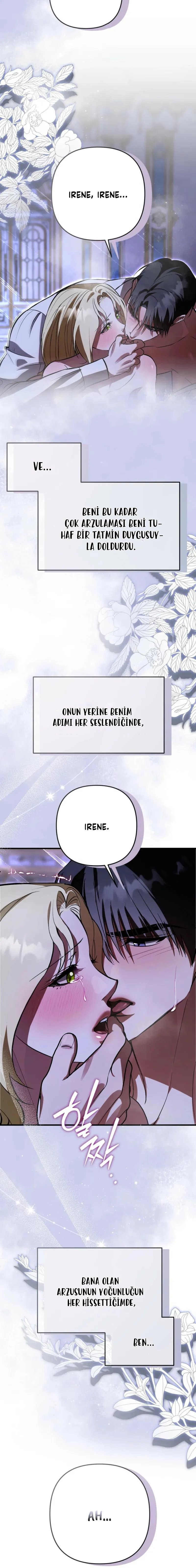 Bölüm 7