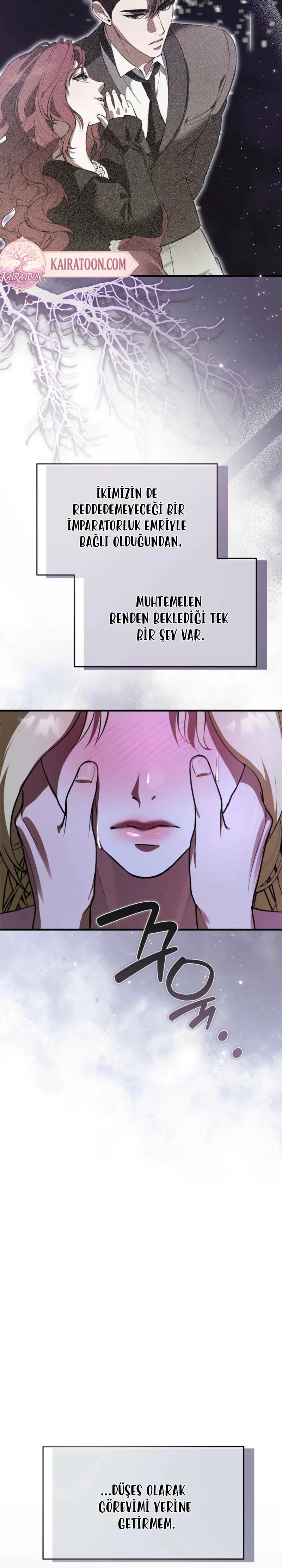 Bölüm 7