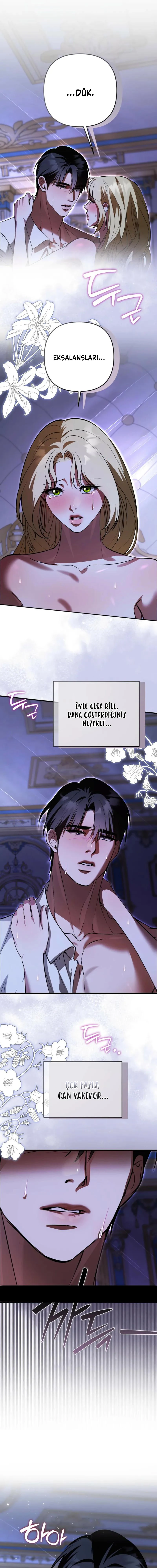 Bölüm 7