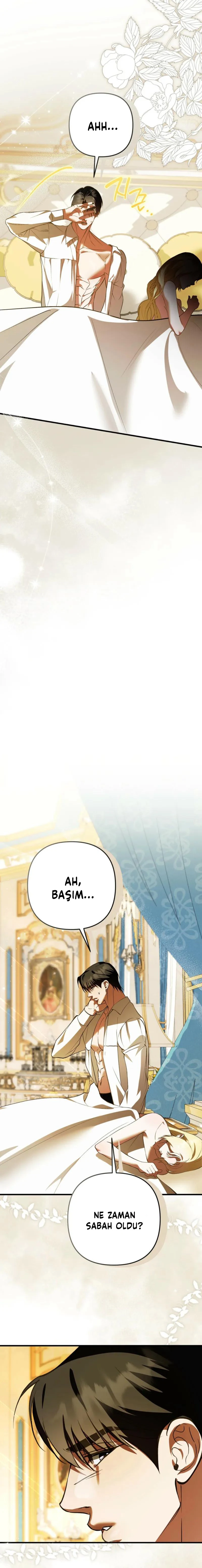 Bölüm 7