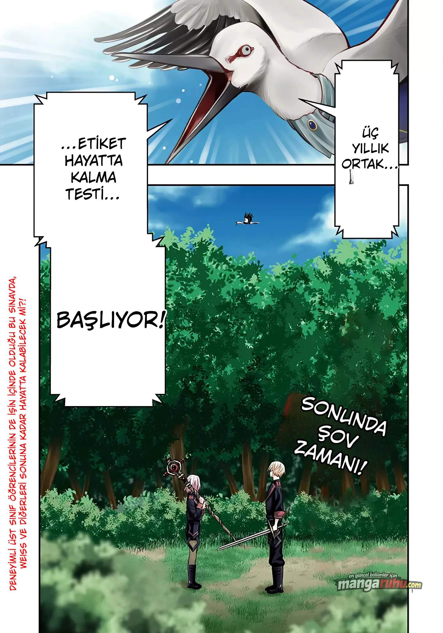 Bölüm 11