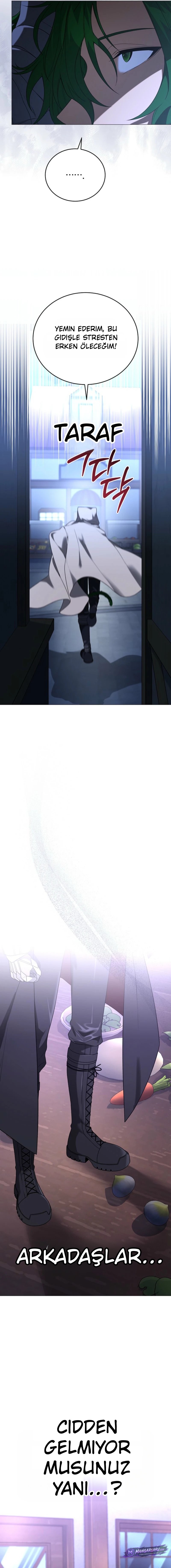 Bölüm 17