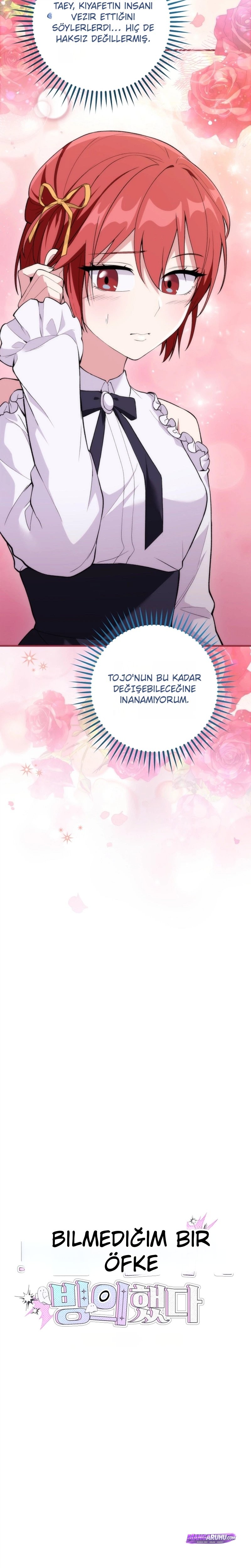 Bölüm 11