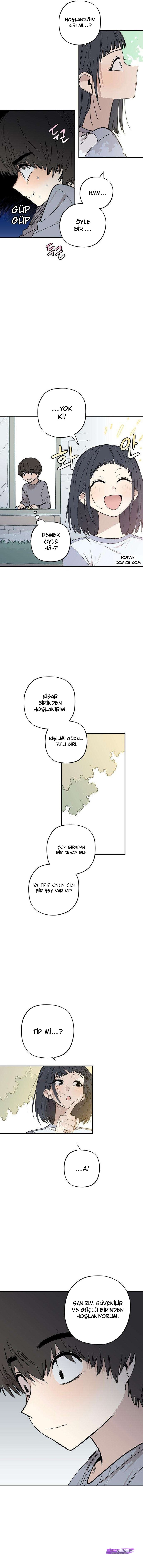 Bölüm 11