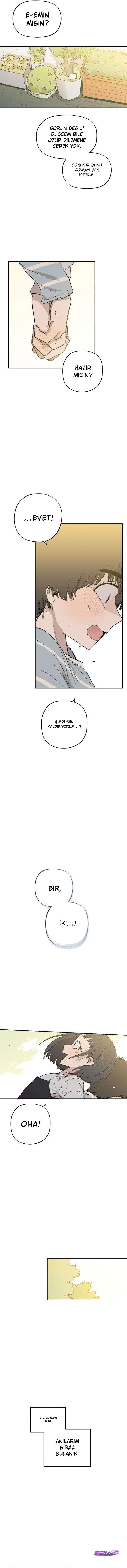 Bölüm 11