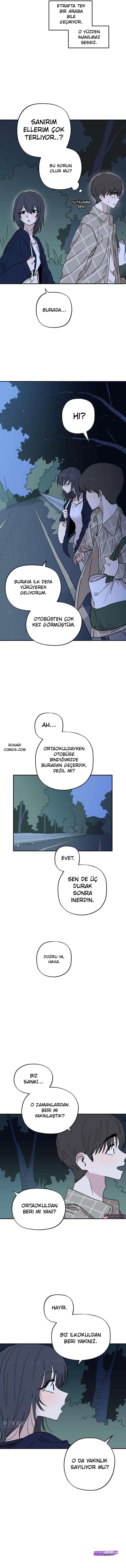 Bölüm 12
