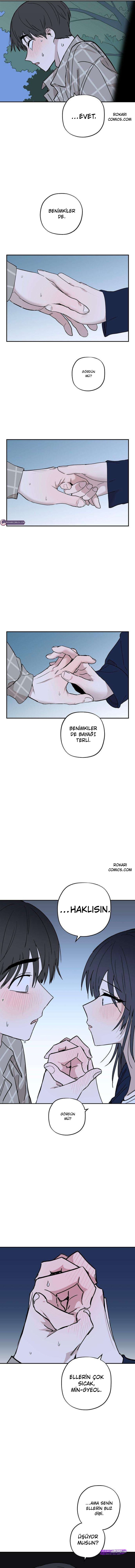 Bölüm 12