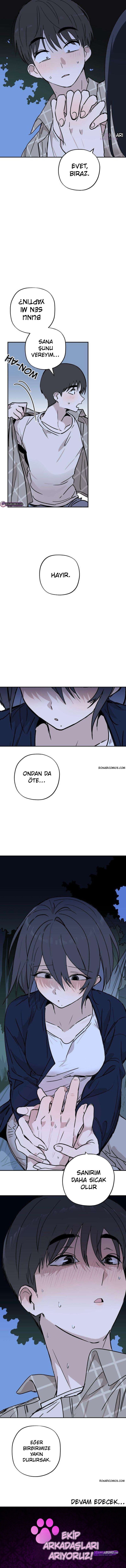 Bölüm 12