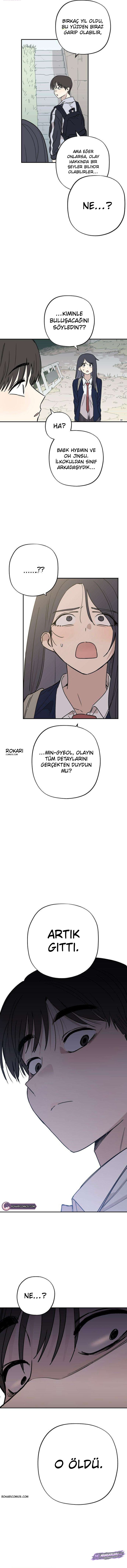 Bölüm 15