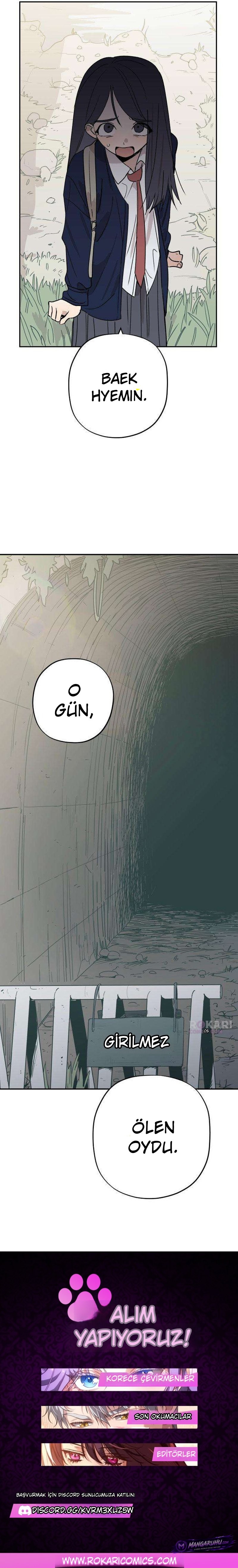 Bölüm 15