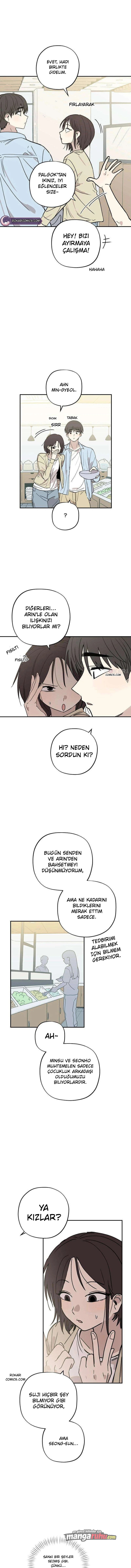 Bölüm 17