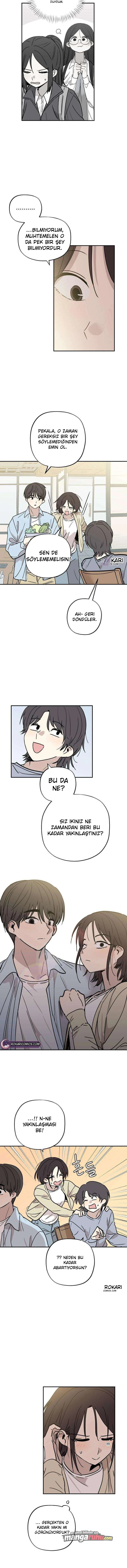 Bölüm 17