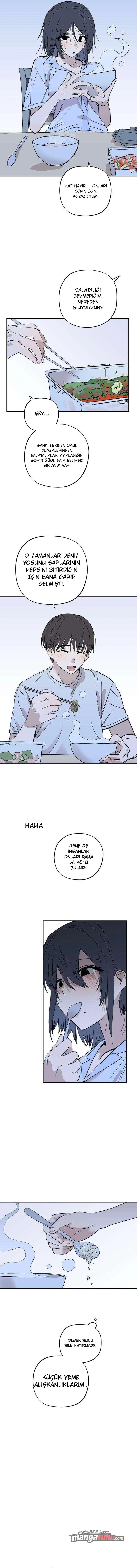 Bölüm 20