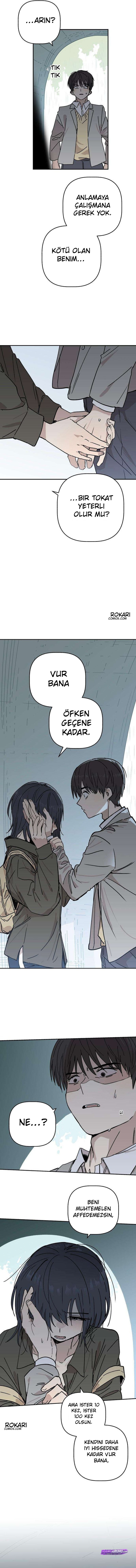 Bölüm 3