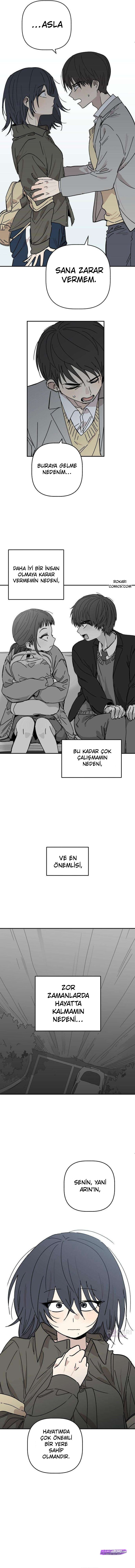 Bölüm 3