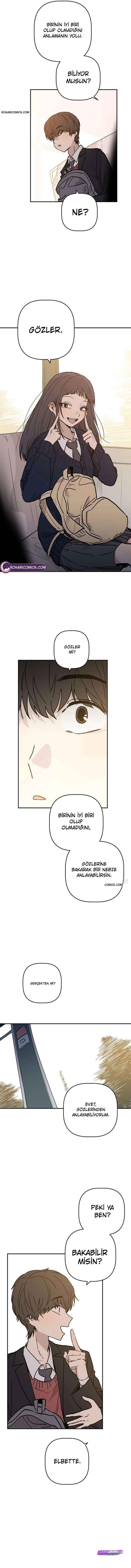 Bölüm 5