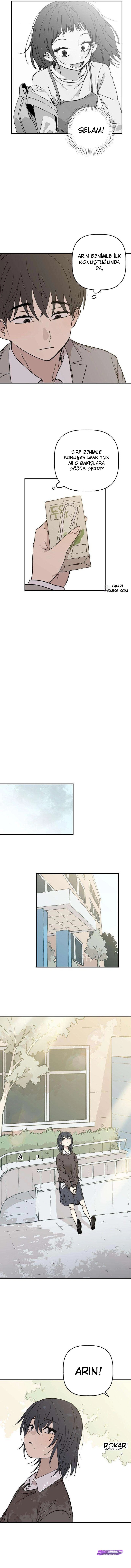 Bölüm 5