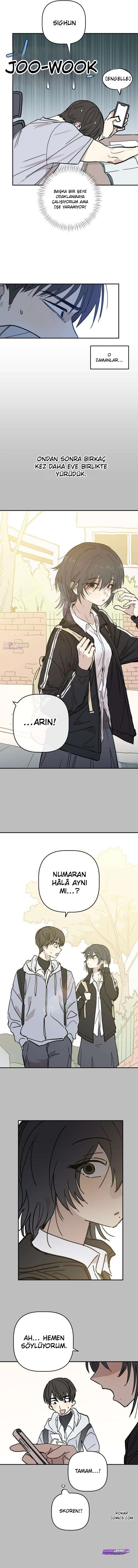 Bölüm 7