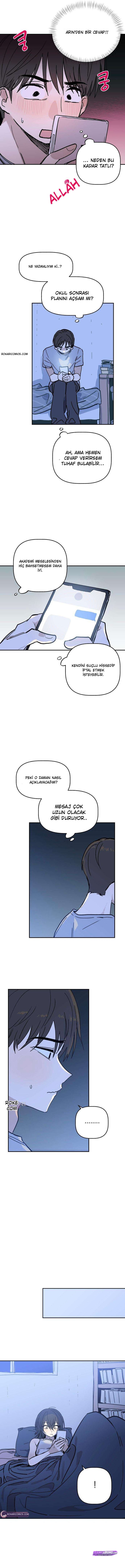 Bölüm 7