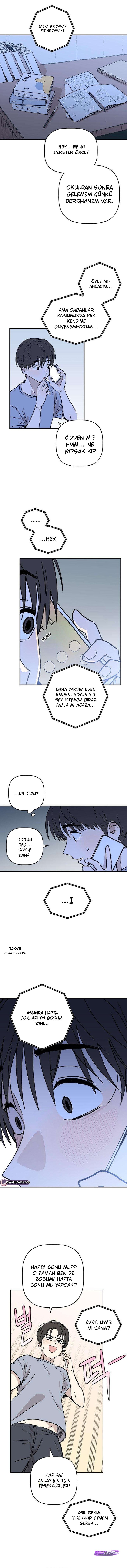 Bölüm 7