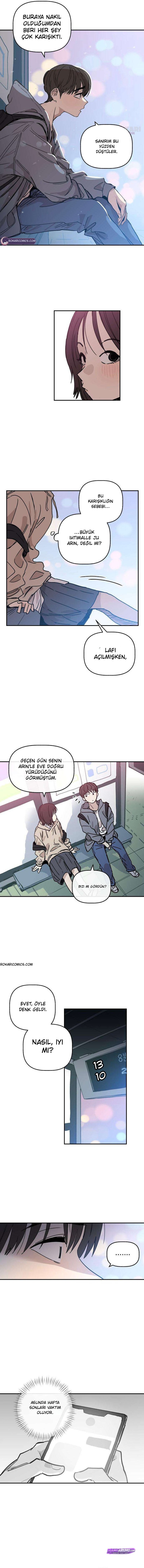 Bölüm 8