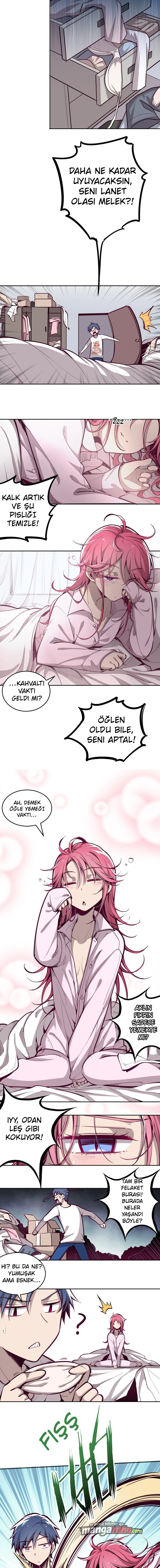 Bölüm 8