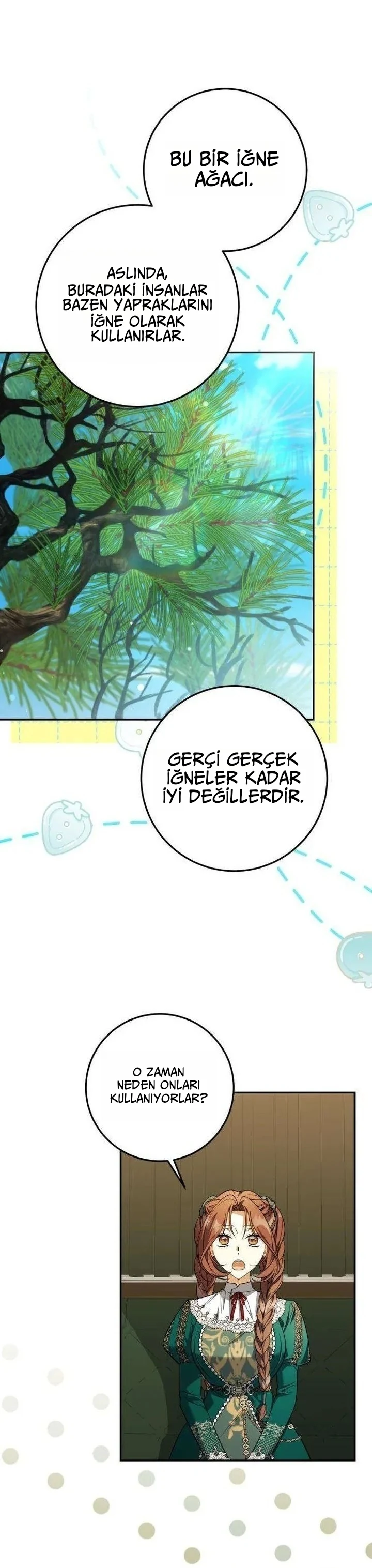 Bölüm 6