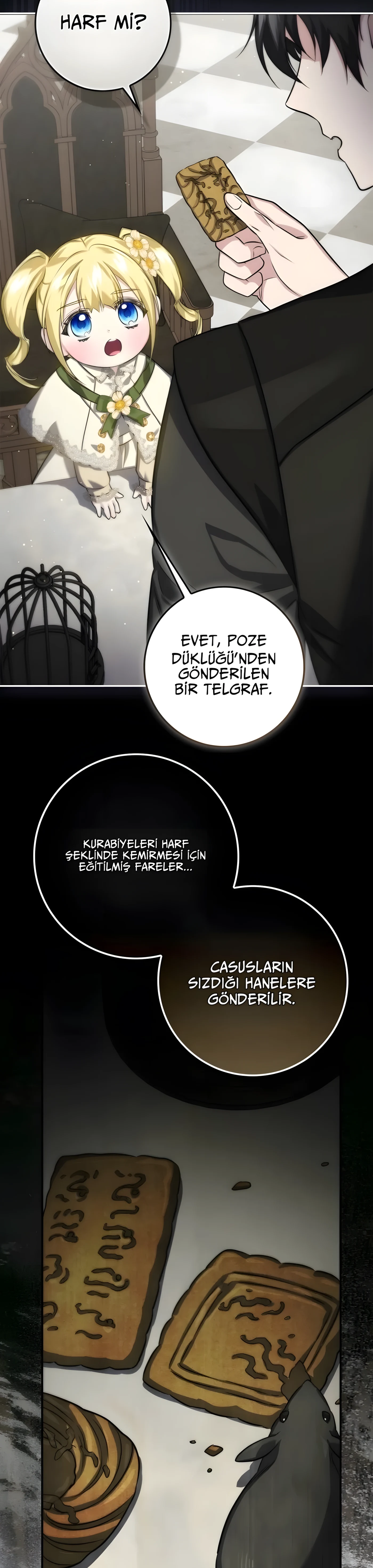 Bölüm 11